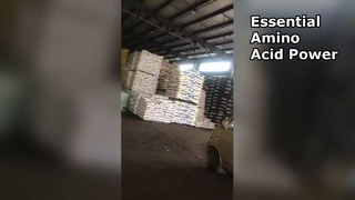 L Threonine Essential Amino Acid for Health